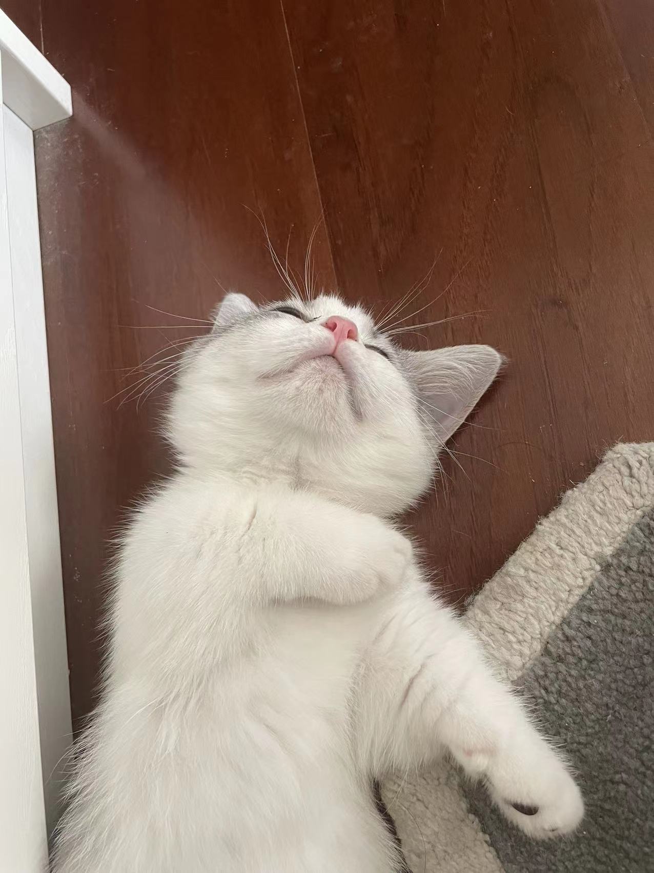 Pointer — Sleep